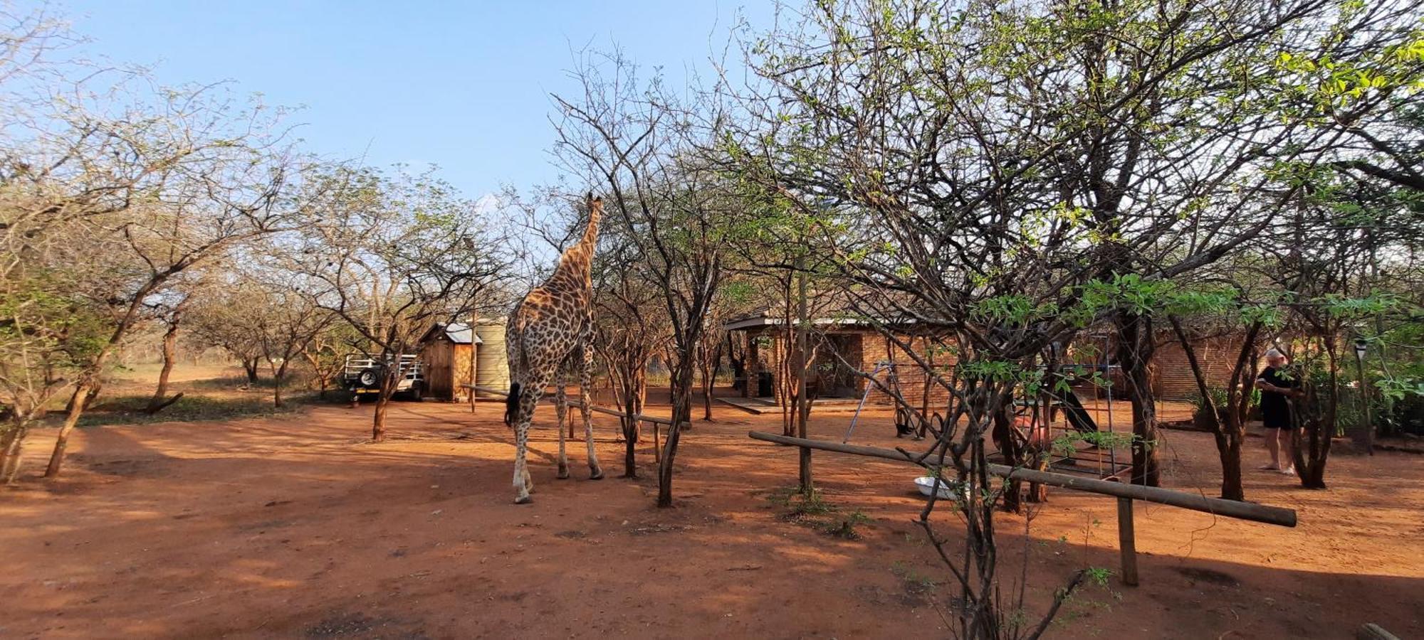 462 Bosbok Chalets มาร์ลอทพาร์ค ภายนอก รูปภาพ