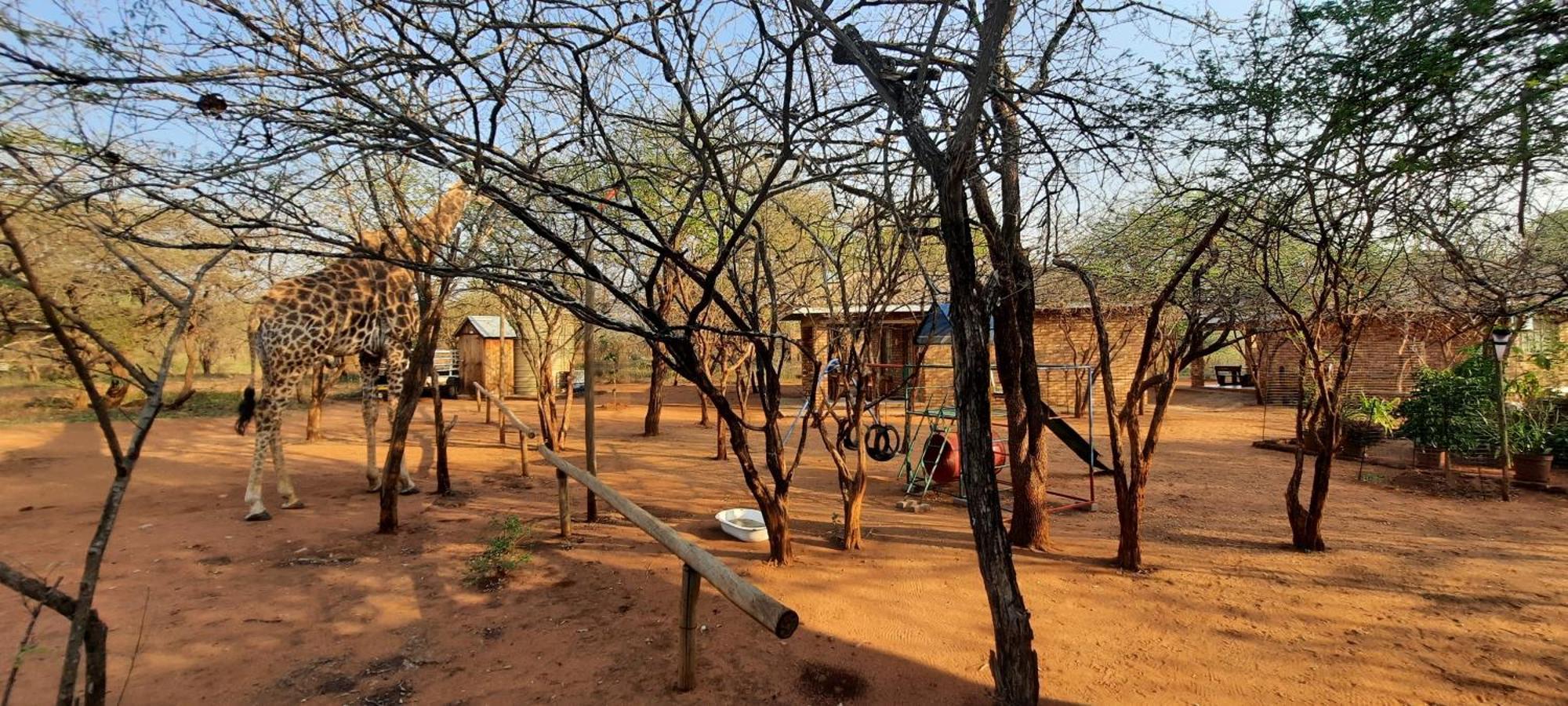 462 Bosbok Chalets มาร์ลอทพาร์ค ภายนอก รูปภาพ