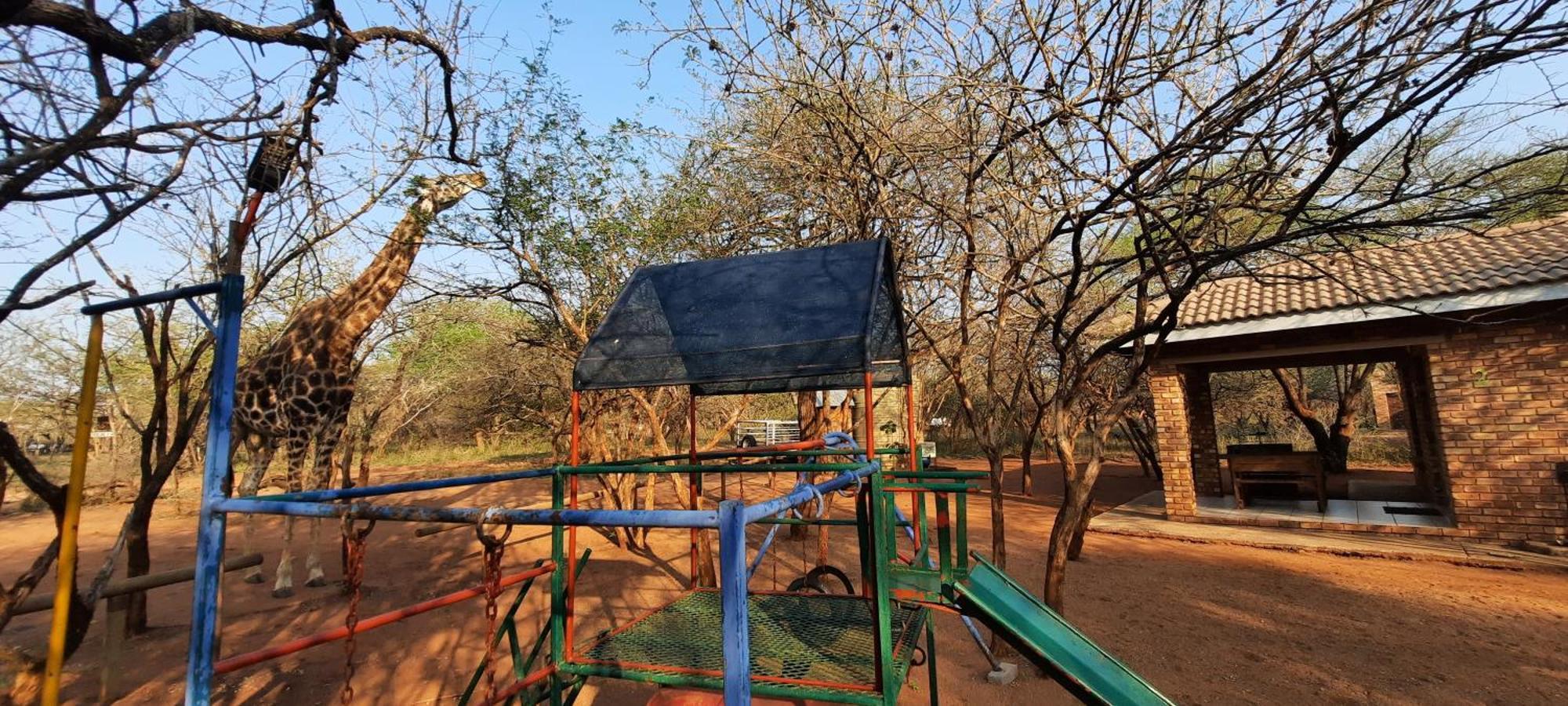 462 Bosbok Chalets มาร์ลอทพาร์ค ห้อง รูปภาพ